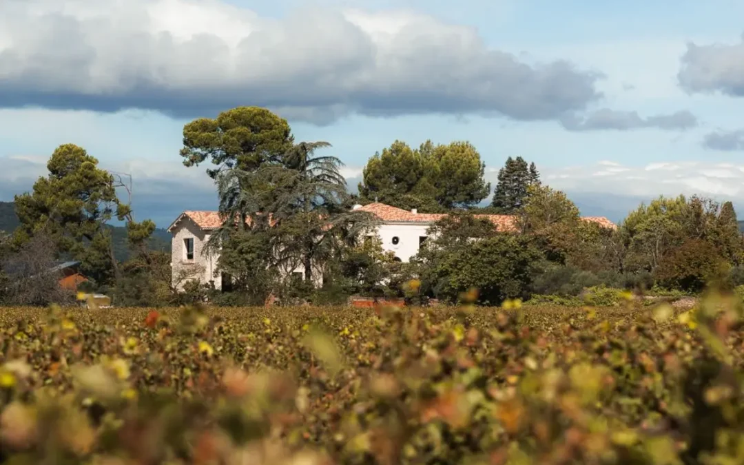 Où se situe le Domaine Saint Jean de Roca ?